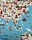 Mappemonde en panneau mural molletonn